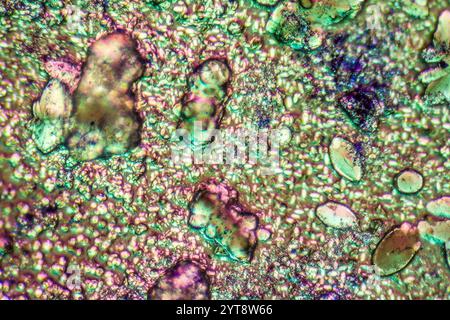 Mikroskopische Aufnahme mit bunten Mikrokristallen in polarisiertem Licht Stockfoto
