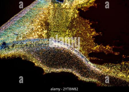 Mikroskopische Aufnahme mit bunten Mikrokristallen in polarisiertem Licht Stockfoto