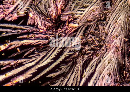 Mikroskopische Aufnahme mit gefiederten Mikrokristallen in polarisiertem Licht Stockfoto