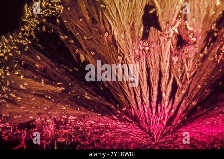 Mikroskopische Aufnahme mit bunten Mikrokristallen in polarisiertem Licht Stockfoto