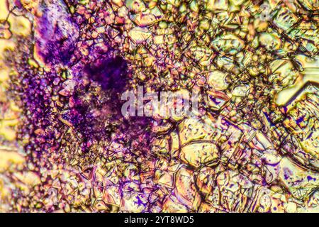 Mikroskopische Aufnahme mit bunten Mikrokristallen in polarisiertem Licht Stockfoto