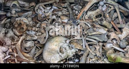 Viele menschliche Knochen von gefallenen Soldaten wurden im Douaumont-Ossarium gesehen, einem Denkmal in der Nähe von Verdun in Frankreich Stockfoto