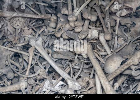 Viele menschliche Knochen von gefallenen Soldaten wurden im Douaumont-Ossarium gesehen, einem Denkmal in der Nähe von Verdun in Frankreich Stockfoto