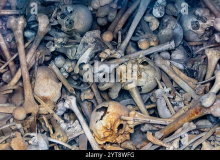 Viele menschliche Knochen von gefallenen Soldaten wurden im Douaumont-Ossarium gesehen, einem Denkmal in der Nähe von Verdun in Frankreich Stockfoto