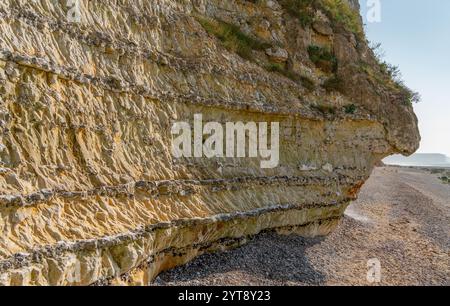 Kreidefelsen in der Nähe von Saint Leonard, einer Gemeinde im Departement seine-Maritime in der Normandie in Nordfrankreich Stockfoto