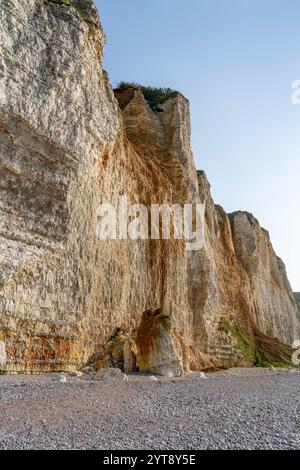 Kreidefelsen in der Nähe von Saint Leonard, einer Gemeinde im Departement seine-Maritime in der Normandie in Nordfrankreich Stockfoto