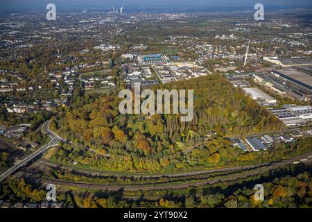 Aus der Vogelperspektive, städtischer Friedhof Blumenstraße und herbstliche Bäume, im Hintergrund das Vonovia Ruhrstadion und Bundesliga-Stadion des VF Stockfoto