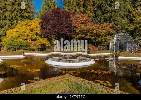Ein Teich mit einem Brunnen in der Mitte, umgeben von Bäumen. Der Teich ist mit Lilien gefüllt und die Bäume befinden sich in verschiedenen Herbststadien Stockfoto