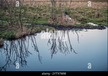 Reflexion über die Feuchtwiesen Stockfoto