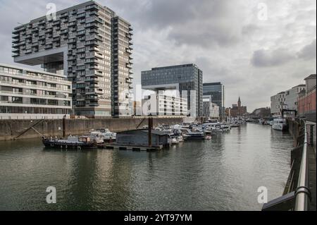 Kranhäuser im Rheinauhafen Stockfoto
