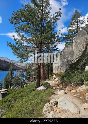 Ein felsiger Pfad schlängelt sich durch eine malerische Berglandschaft mit hohen Kiefern, einer rustikalen Hütte und einem ruhigen blauen See unter einem lebendigen Himmel. Stockfoto