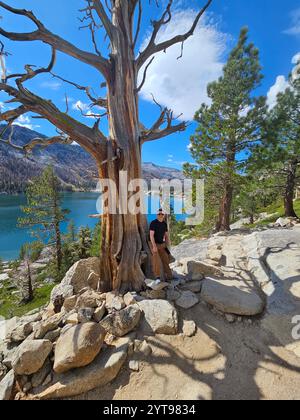 Ein Mann steht neben einem verwitterten Baum auf einem felsigen Hang mit Blick auf einen ruhigen See, umgeben von bewaldeten Bergen unter einem hellblauen Himmel. Stockfoto