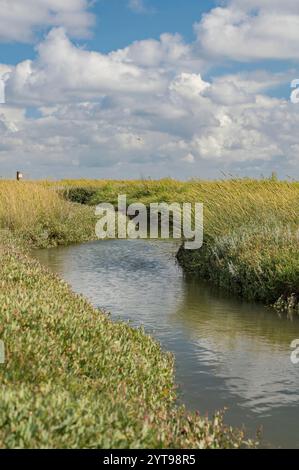 Wasserläufe und Salzwiesen im Wattenmeer Stockfoto