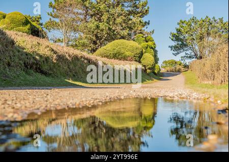 Reflexion über einen Wanderweg Stockfoto