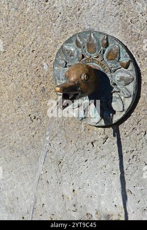 Gargoyle auf einem Brunnen Stockfoto