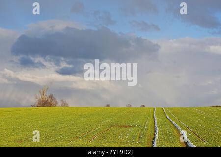 Dunkle Wolken sammeln sich über den winterlichen Feldern bei Inzkofen, Landkreis Freising, Oberbayern Stockfoto