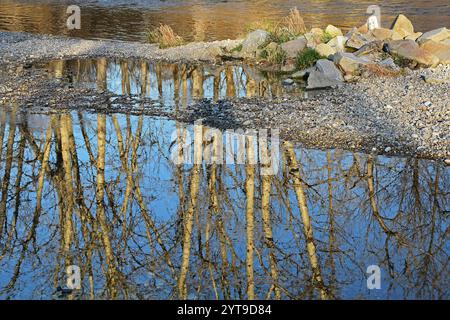 Reflexionen im Flachwasser am Isarufer, Moosburg, Oberbayern Stockfoto