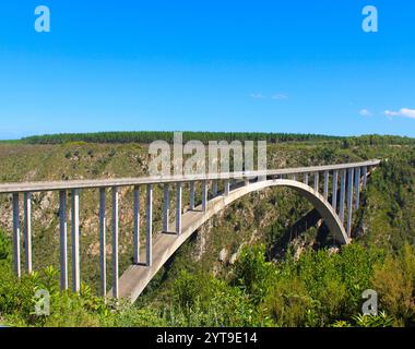 Bloukrans Bunjee jumping Brücke ist eine Bogenbrücke in der Nähe von Nature's Valley und Knysna an der Garden Route in der Western Cape Südafrika entfernt Stockfoto