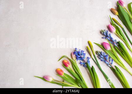 Verschiedene farbenfrohe Frühlingsblumen Stockfoto