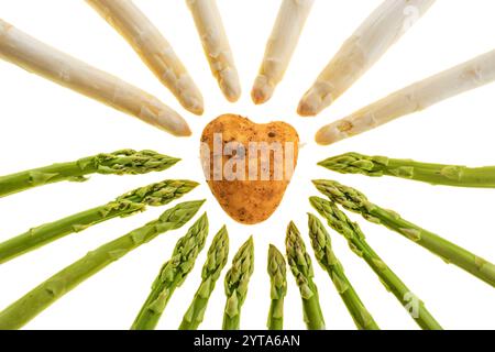 Frischer weißer und grüner Spargel mit Kartoffeln isoliert auf weißem Hintergrund. Draufsicht auf Frühlingsgemüse. Hintergrund für gesunde Ernährung und saisonale Gastronomie. Stockfoto
