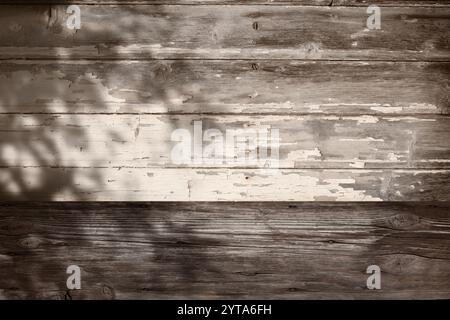 Sepia-farbiger Hintergrund mit Pflanzenschatten auf verwitterter Holzwand für eine Produktplatzierung. Sommerarchitektur im Ästhetischen Boho-Design mit Platz für Text. Stockfoto