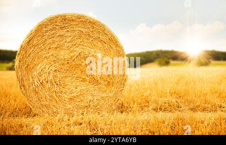 Straw bales on harvested farmland with sunbeams on blue sky. Stockfoto