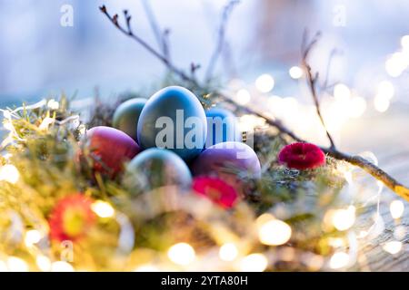 Bunte ostereier in einem Kräuternest mit Frühlingsblumen auf verwittertem rustikalen Holztisch. Hintergrund mit Bokeh-Lichtern und kurzer Schärfentiefe. Stockfoto