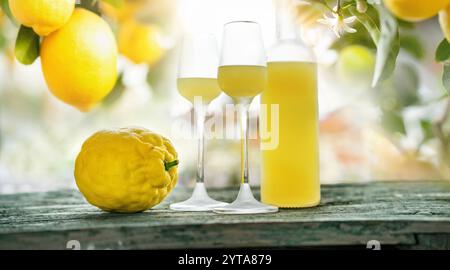 Flasche Limoncello und zwei Gläser stehen auf verwittertem Holztisch. Hintergrund mit Zitronenbäumen im Hintergrund. Nahaufnahme. Stockfoto