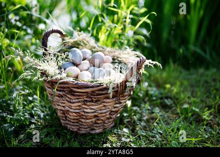 Großer Korbkorb auf der Wiese, gefüllt mit Pastelleiern auf einem Grasbett. Stockfoto