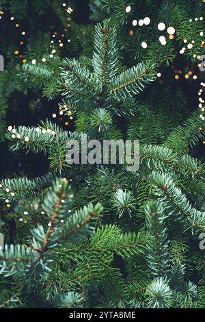 Vertikale Nahaufnahme von Tannenzweigen mit Bokeh-Lichtern. Natürlicher weihnachtshintergrund mit warmem Glanz und schwach beleuchteter Umgebung. Stockfoto