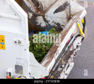 Italienischer Müllwagen, Sammlung von nassem Abfall und Schnittgut Stockfoto