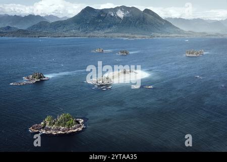 Sightseeing-Flug über Tofino, Vancouver Island. Kanada Stockfoto