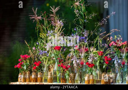 Schöne sommerliche Dekoration mit vielen Glasvasen und Blumen in Rot, Lila und Blau Stockfoto