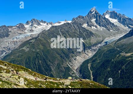 Alpenpanorama der französischen Alpen, von links nach rechts: gipfel Aiguille du Tour, Gletscher Glacier du Tour, Gipfel Aiguille du Chardonnet und Aiguille d'Argentiere, Gletscher Glacier d'Argentiere, Chamonix, Savoy, Frankreich Stockfoto