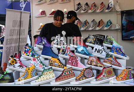 Neu-Delhi, Indien. Dezember 2024. NEW DELHI, INDIEN - 6. DEZEMBER: Menschen, die als Comic-Charaktere auf der Delhi Comic Con 2024 auf dem NSIC Exhibition Grounds Okhla am 6. Dezember 2024 in New Delhi, Indien, gekleidet sind. (Foto: Sonu Mehta/Hindustan Times/SIPA USA) Credit: SIPA USA/Alamy Live News Stockfoto