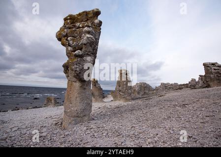 Die Rauchen von Langhammars auf der Insel Färö im Gotland County in Schweden sind die Überreste eines tropischen Riffs vor 500 Millionen Jahren. Stockfoto