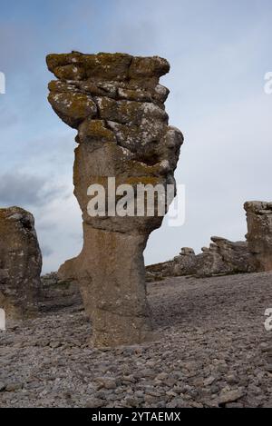 Die Rauchen von Langhammars auf der Insel Färö im Gotland County in Schweden sind die Überreste eines tropischen Riffs vor 500 Millionen Jahren. Stockfoto