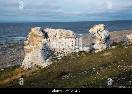 Die Rauchen von Langhammars auf der Insel Färö im Gotland County in Schweden sind die Überreste eines tropischen Riffs vor 500 Millionen Jahren. Stockfoto