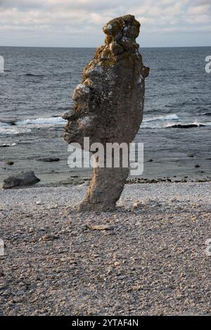 Die Rauchen von Langhammars auf der Insel Färö im Gotland County in Schweden sind die Überreste eines tropischen Riffs vor 500 Millionen Jahren. Stockfoto