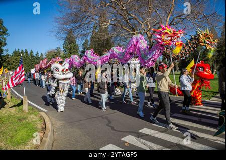 Ein weißer Löwe, Drachen und Teilnehmer marschieren zur jährlichen Mondneujahrsparade („Tet“ in der vietnamesischen Kultur) im Elk Grove Regional Park. Stockfoto