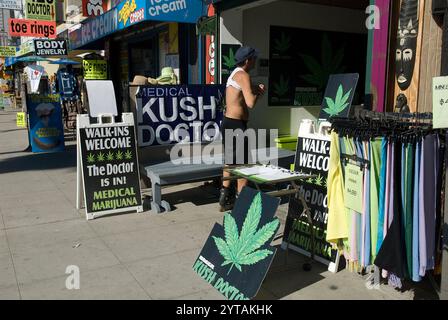 Helle Schilder für medizinische Marihuana-Kliniken säumen den lebhaften Venice Beach Bürgersteig und heben die Cannabiskultur und das Gesundheitswesen hervor. Stockfoto