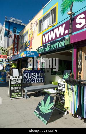 Helle Schilder für medizinische Marihuana-Kliniken säumen den lebhaften Venice Beach Bürgersteig und heben die Cannabiskultur und das Gesundheitswesen hervor. Stockfoto