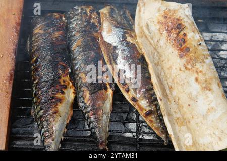 Backen und Braten von Fisch auf dem Grill. Stockfoto