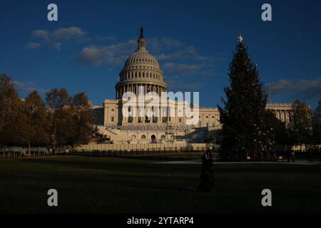 Der Weihnachtsbaum des Kapitols wird am 6. Dezember 2024 vor dem US-Kapitol in Washington, DC, gesehen. Der 2024-Baum ist eine 80 Meter hohe Sitka-Fichte aus der Wrangell District Region im Tongass National Forest in Alaska. Die Beleuchtung des Baumes außerhalb des Kapitols der USA ist eine 60-jährige Tradition, die sowohl Mitarbeiter von Hill als auch Besucher in den District bringt. Stockfoto