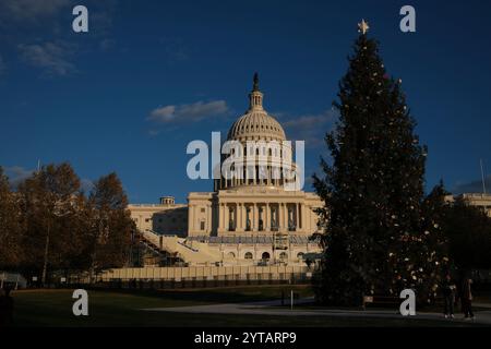 Der Weihnachtsbaum des Kapitols wird am 6. Dezember 2024 vor dem US-Kapitol in Washington, DC, gesehen. Der 2024-Baum ist eine 80 Meter hohe Sitka-Fichte aus der Wrangell District Region im Tongass National Forest in Alaska. Die Beleuchtung des Baumes außerhalb des Kapitols der USA ist eine 60-jährige Tradition, die sowohl Mitarbeiter von Hill als auch Besucher in den District bringt. Stockfoto