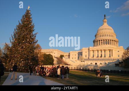 Der Weihnachtsbaum des Kapitols wird am 6. Dezember 2024 vor dem US-Kapitol in Washington, DC, gesehen. Der 2024-Baum ist eine 80 Meter hohe Sitka-Fichte aus der Wrangell District Region im Tongass National Forest in Alaska. Die Beleuchtung des Baumes außerhalb des Kapitols der USA ist eine 60-jährige Tradition, die sowohl Mitarbeiter von Hill als auch Besucher in den District bringt. Stockfoto
