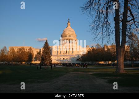 Der Weihnachtsbaum des Kapitols wird am 6. Dezember 2024 vor dem US-Kapitol in Washington, DC, gesehen. Der 2024-Baum ist eine 80 Meter hohe Sitka-Fichte aus der Wrangell District Region im Tongass National Forest in Alaska. Die Beleuchtung des Baumes außerhalb des Kapitols der USA ist eine 60-jährige Tradition, die sowohl Mitarbeiter von Hill als auch Besucher in den District bringt. Stockfoto