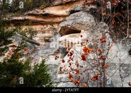 Monkey Rock, der einem Affengesicht ähnelt, ist umgeben von lebhaften Herbstblättern und natürlichen Kalksteintexturen in einer rauen Umgebung Stockfoto