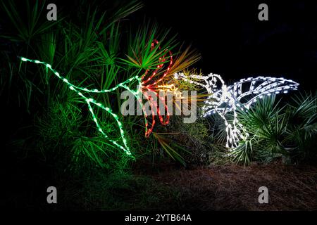 Weihnachtsbeleuchtung. Botanische Gärten Von Port St. Lucie. Port St. Lucie, Florida, USA Stockfoto