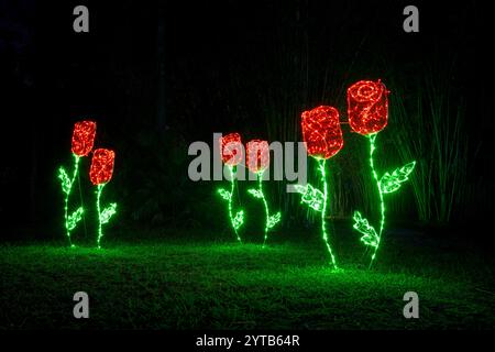 Weihnachtsbeleuchtung. Botanische Gärten Von Port St. Lucie. Port St. Lucie, Florida, USA Stockfoto